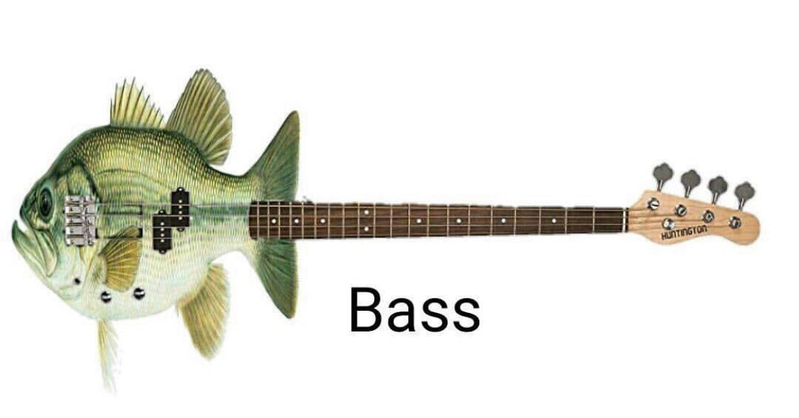 gsebc2x6njr21.jpg