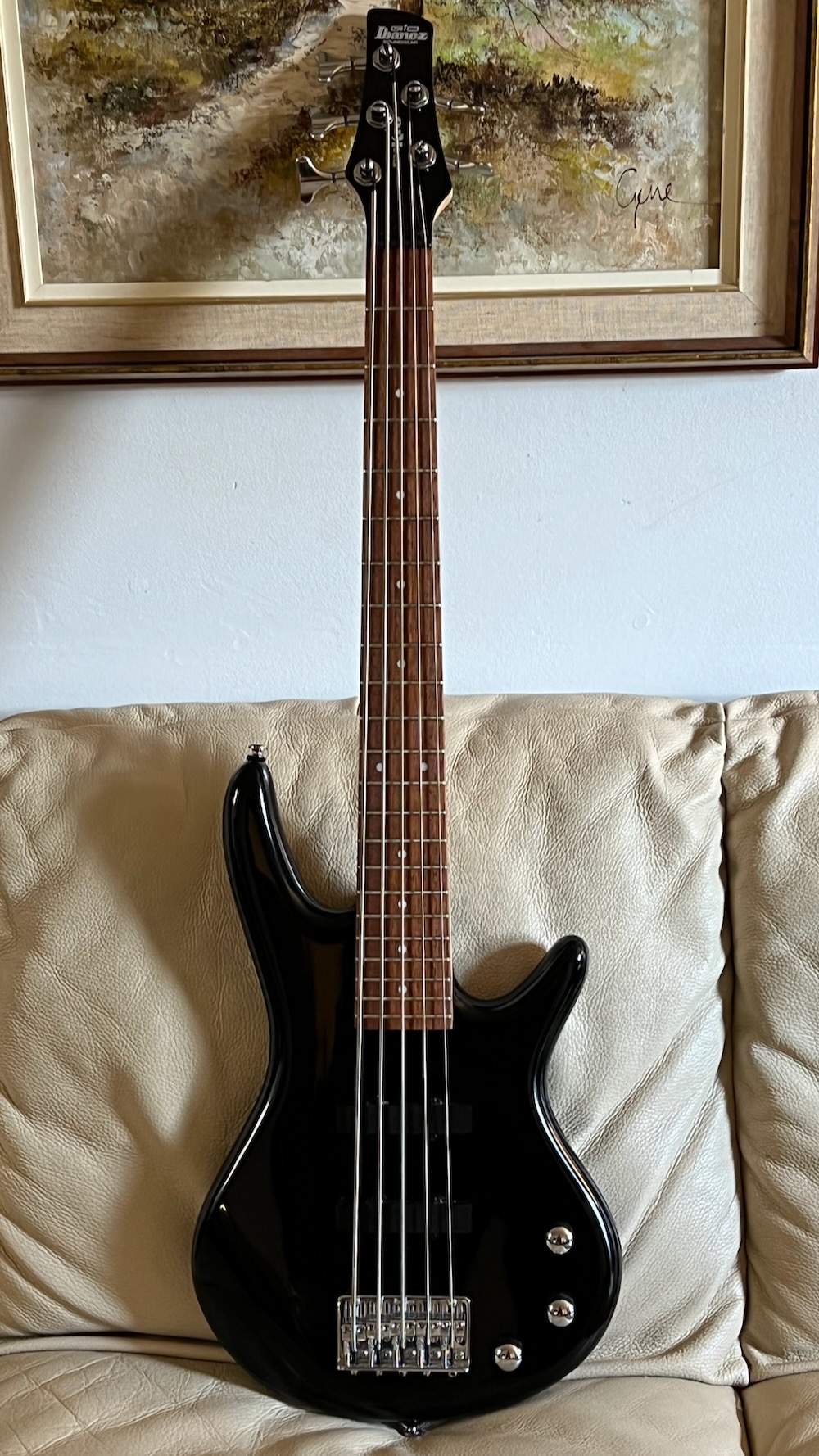 GSRM25 Mikro 5-string initial pic - 1.jpeg
