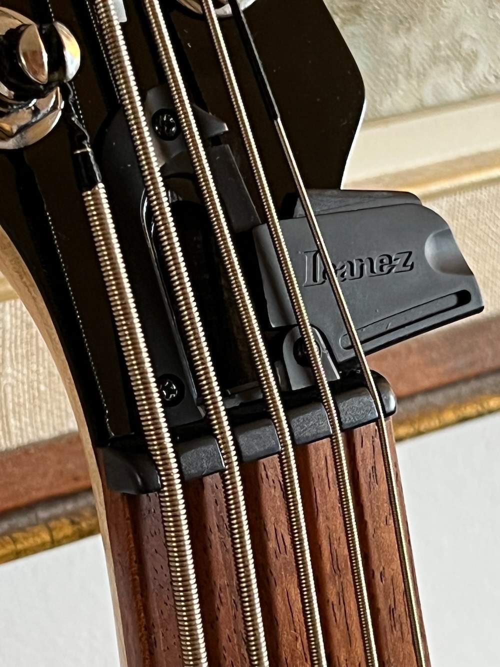 GSRM25 Mikro 5-string truss rod access - 1.jpeg