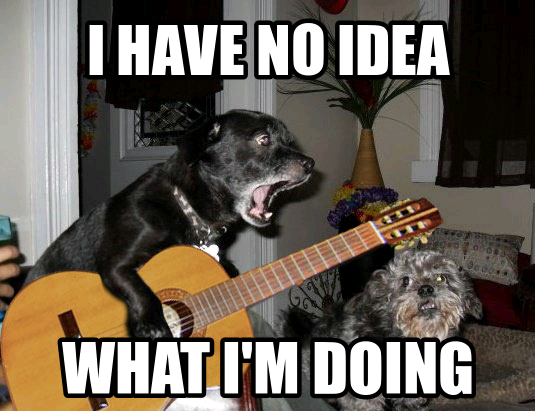 guitar-dog.png