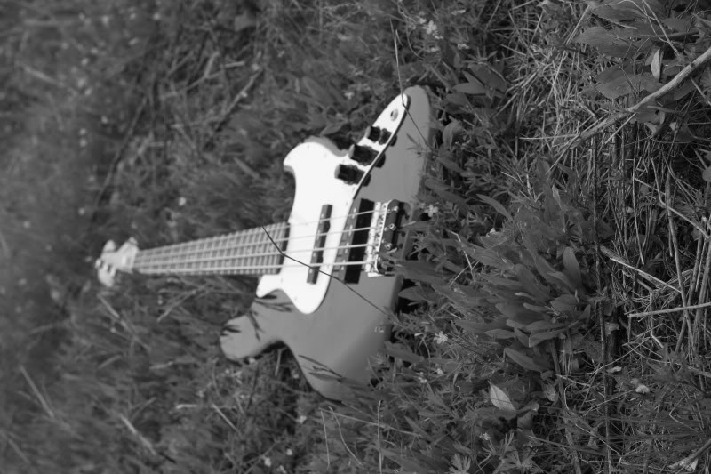 guitar5.jpg