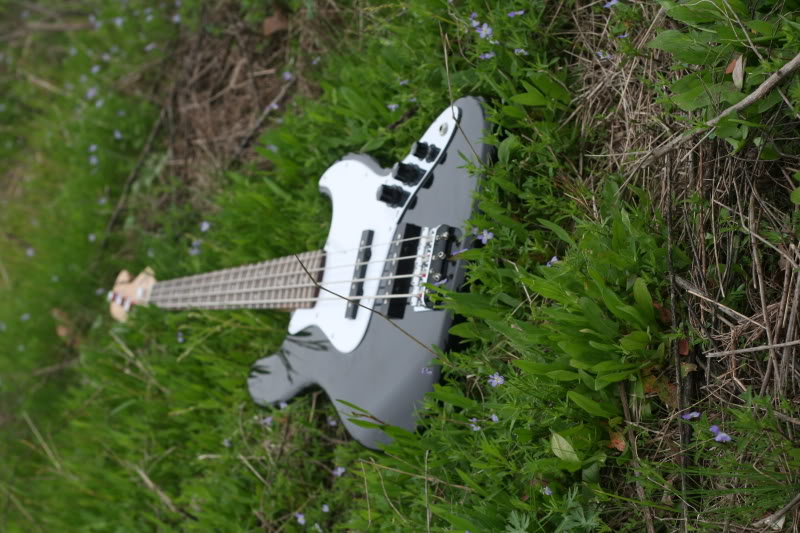 guitar6.jpg