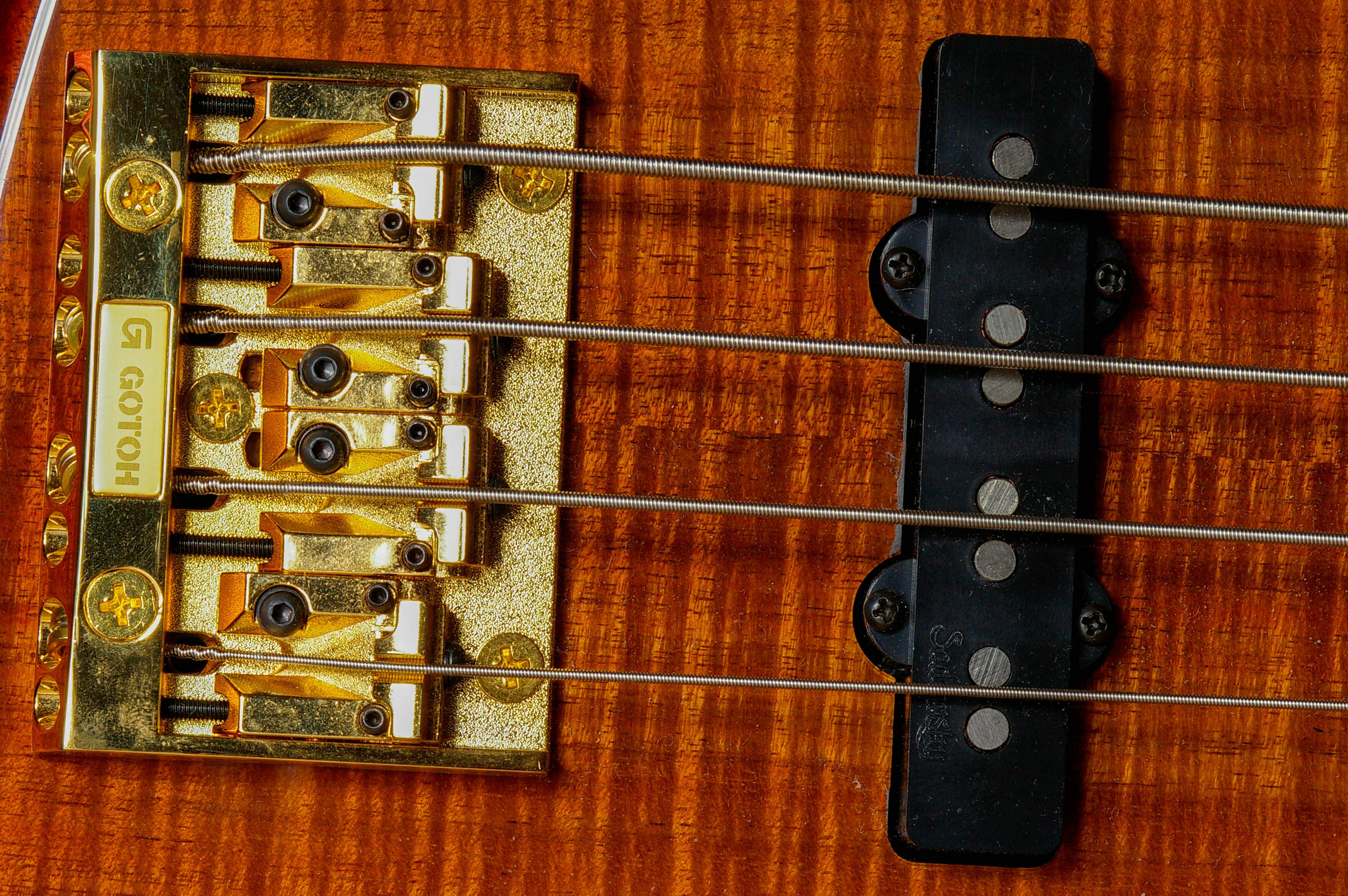 Guitar_5.jpg