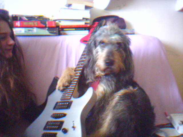 guitare.jpg
