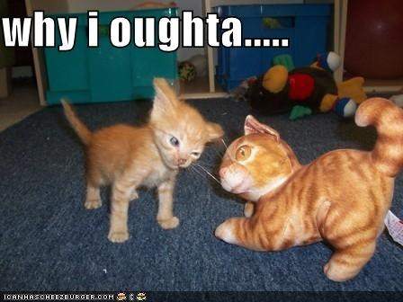 h4AA77C08.jpeg