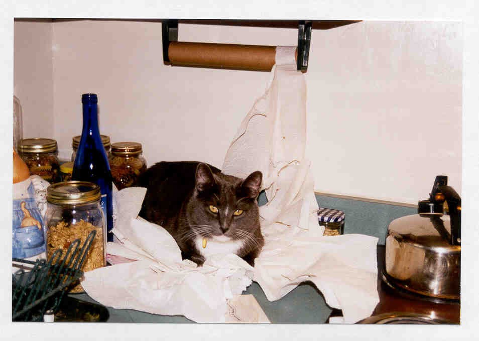 hal towels.jpg
