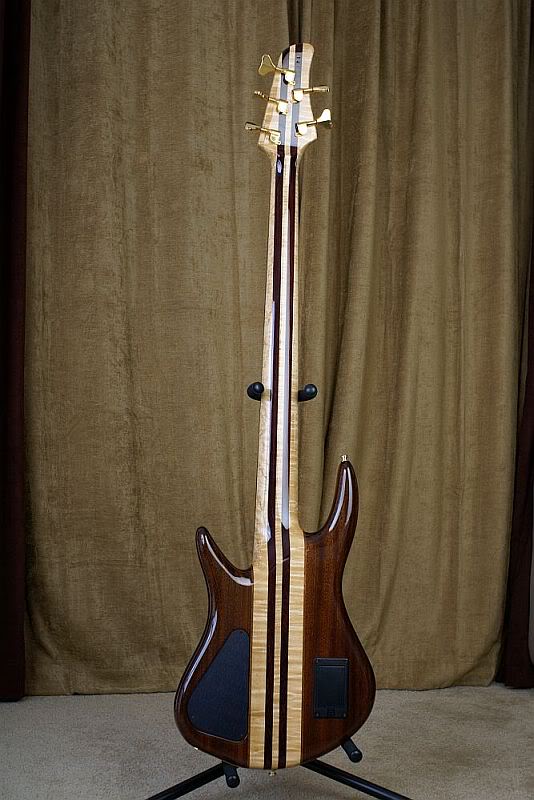 HamerBack.jpg
