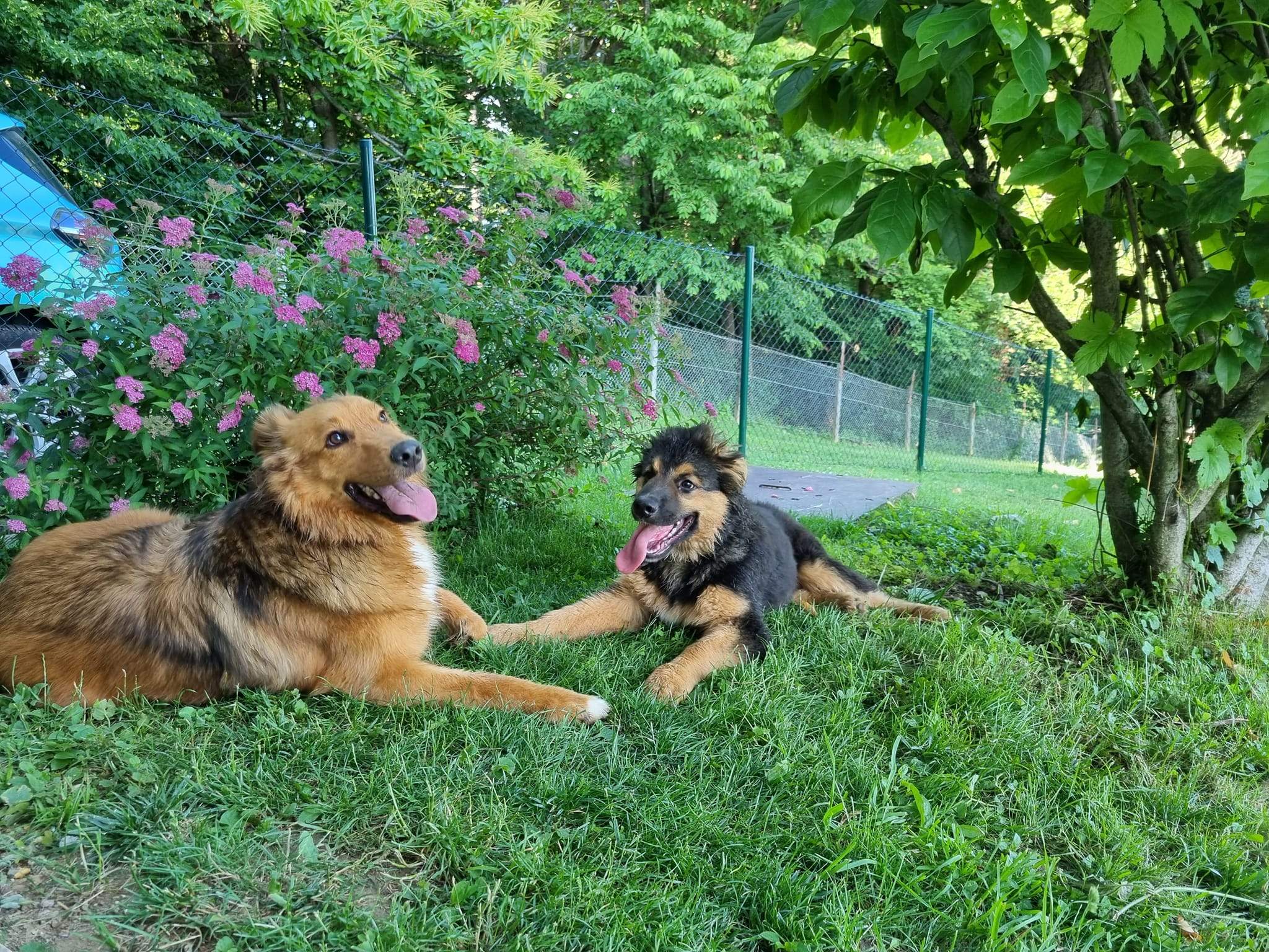 Hamish&Ajša.jpg