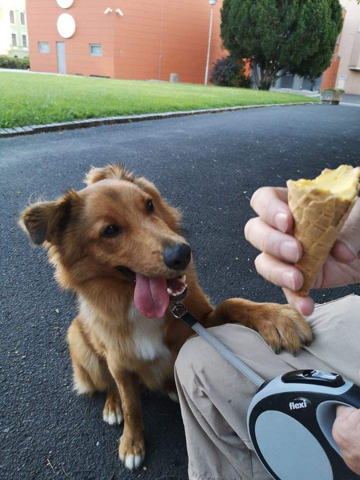 HamishIcecream.jpg