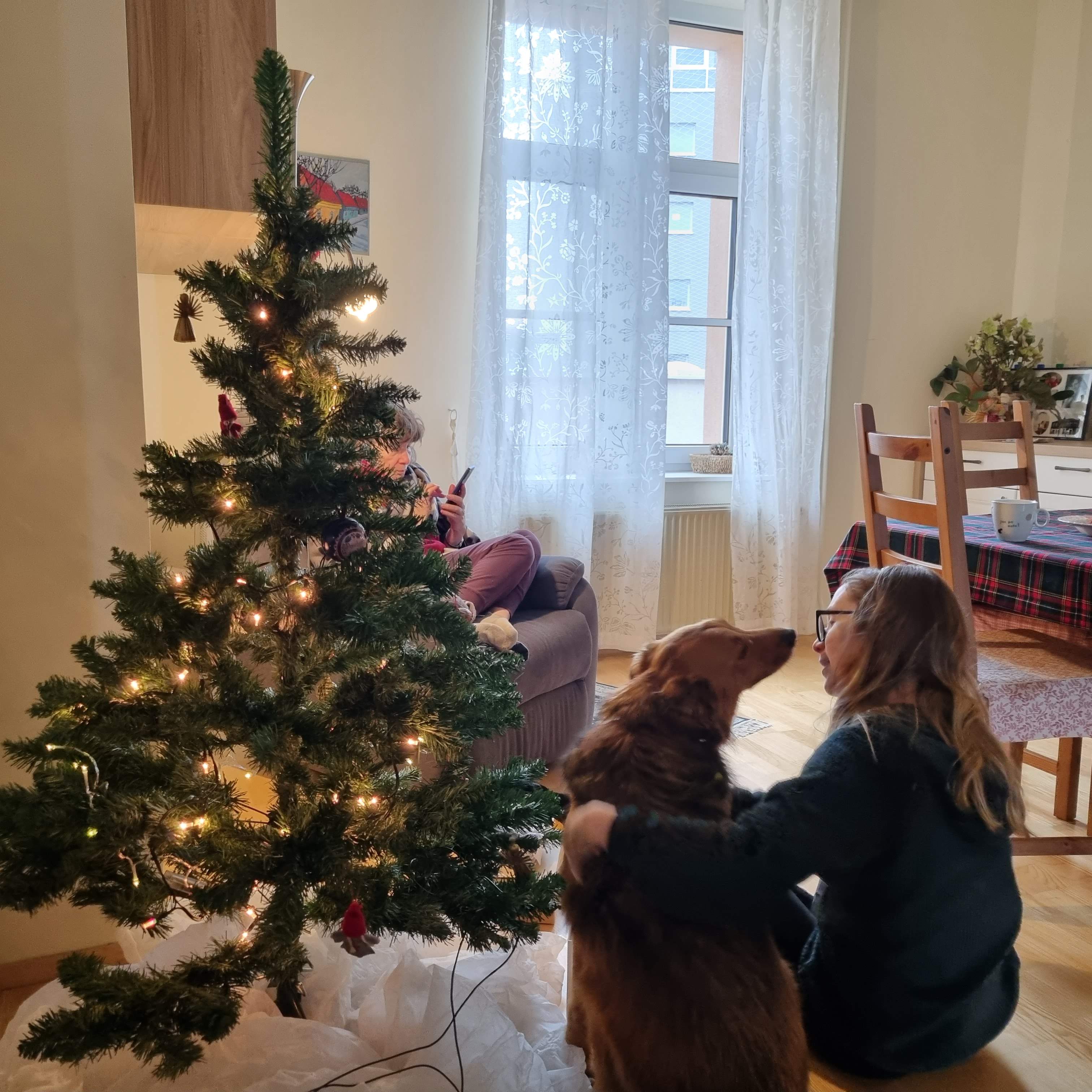 HamishXmas.jpg