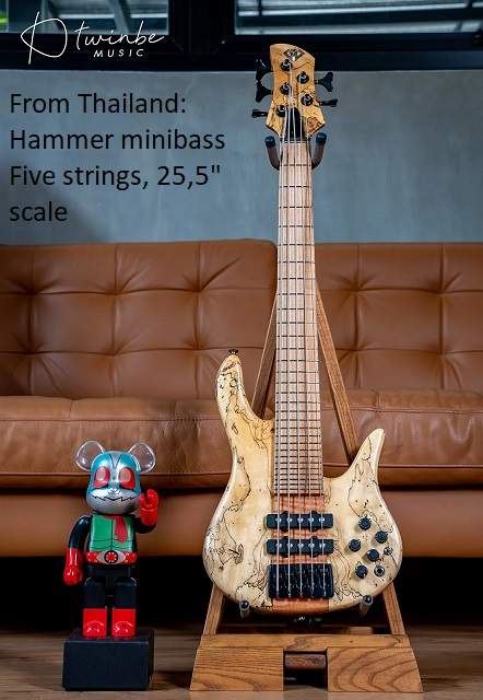 Hammer minibass 25-5.jpg