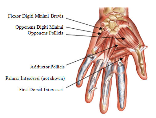 hand02.jpg