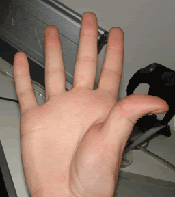HandTurkey.gif