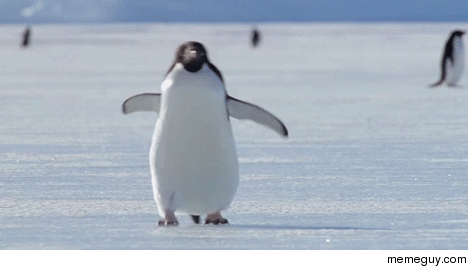 happy-feet-73432.gif