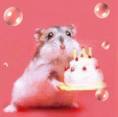 Happy_Birthday.jpg