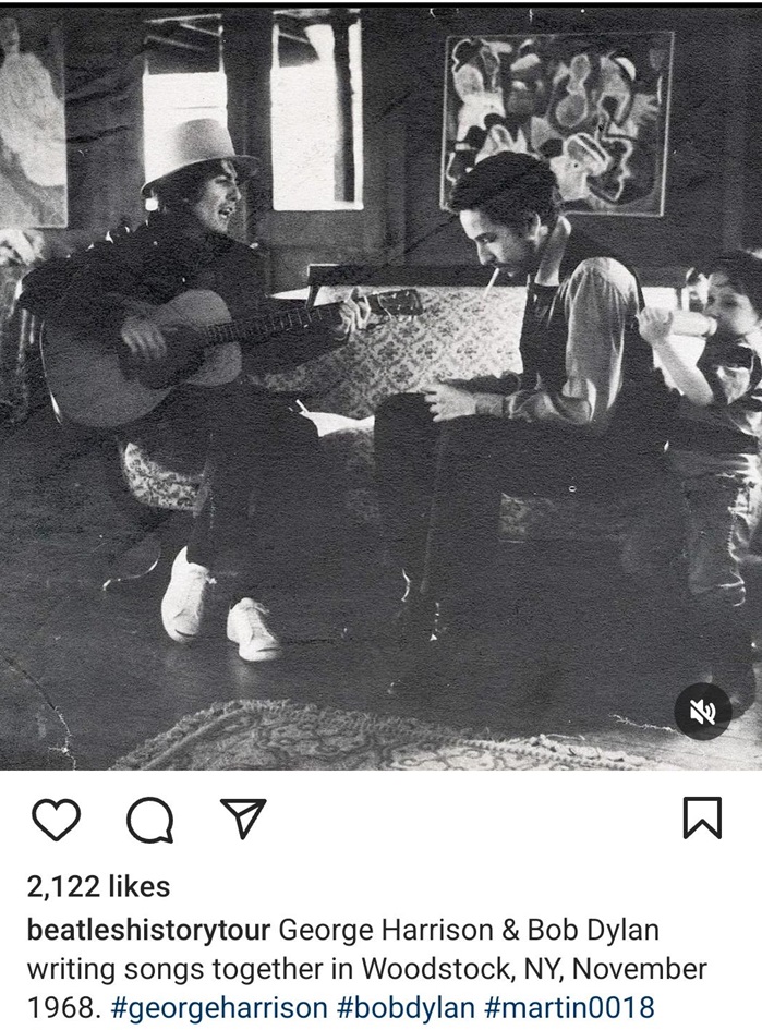 Harrison dylan.jpg