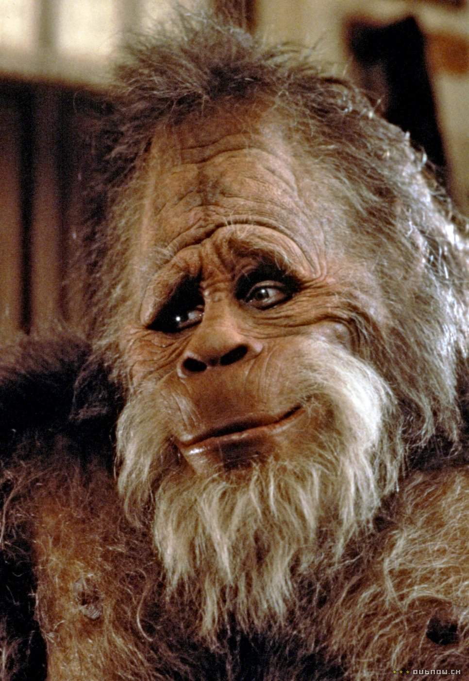 HarryBigfoot.jpg
