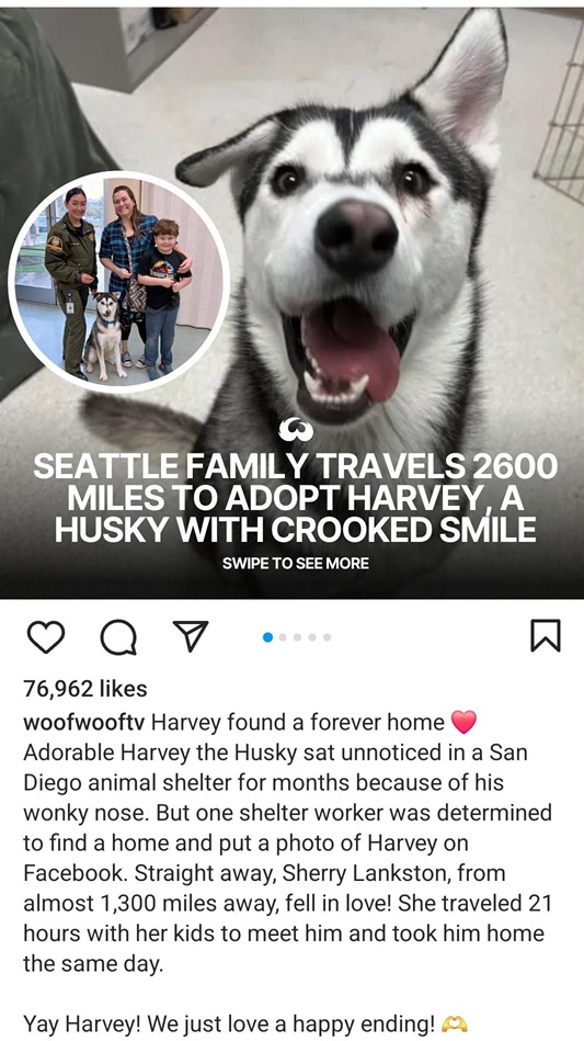 harvey 1.jpg