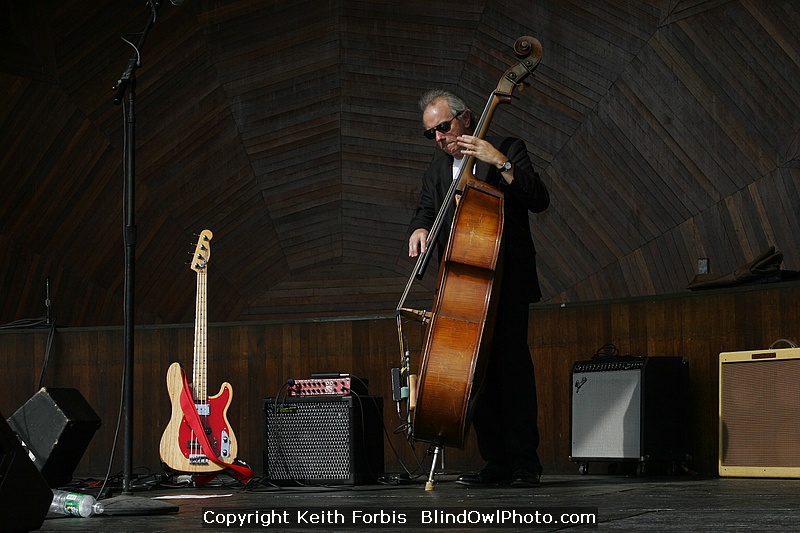 hatchshell1.jpg