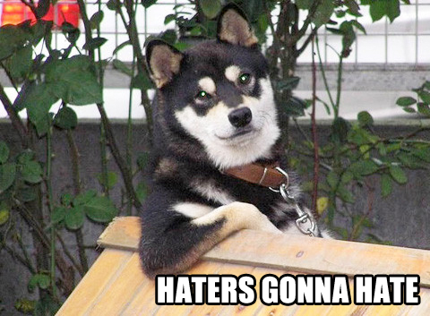 haters-gonna-hate-cool-dog_zpsc3aabcd2.jpg