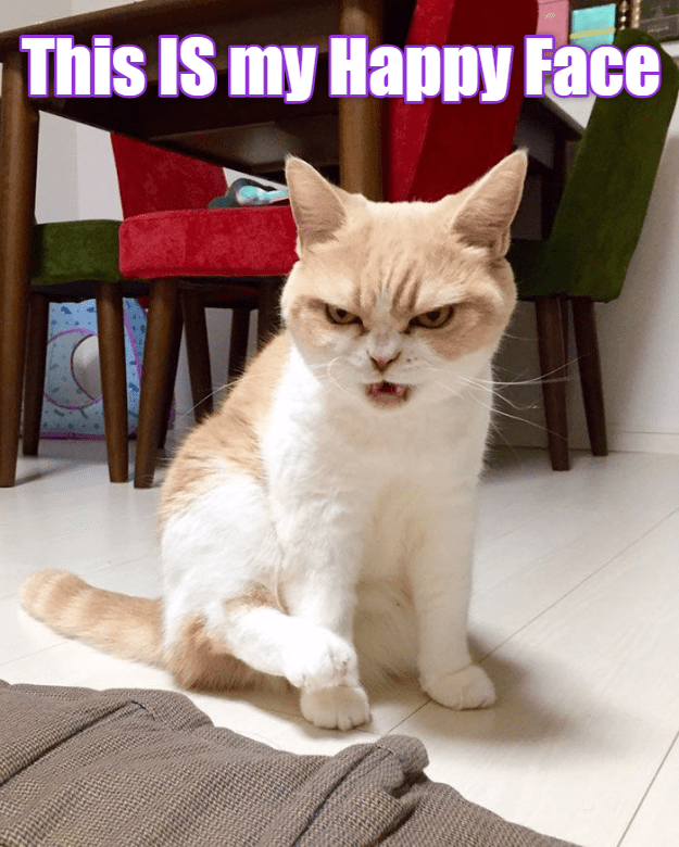 hB0FA720E-1862991478.png