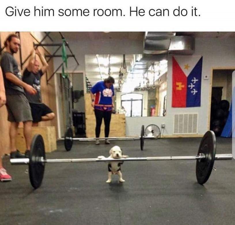 he can do it.jpg
