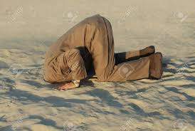 head in the sand.jpg