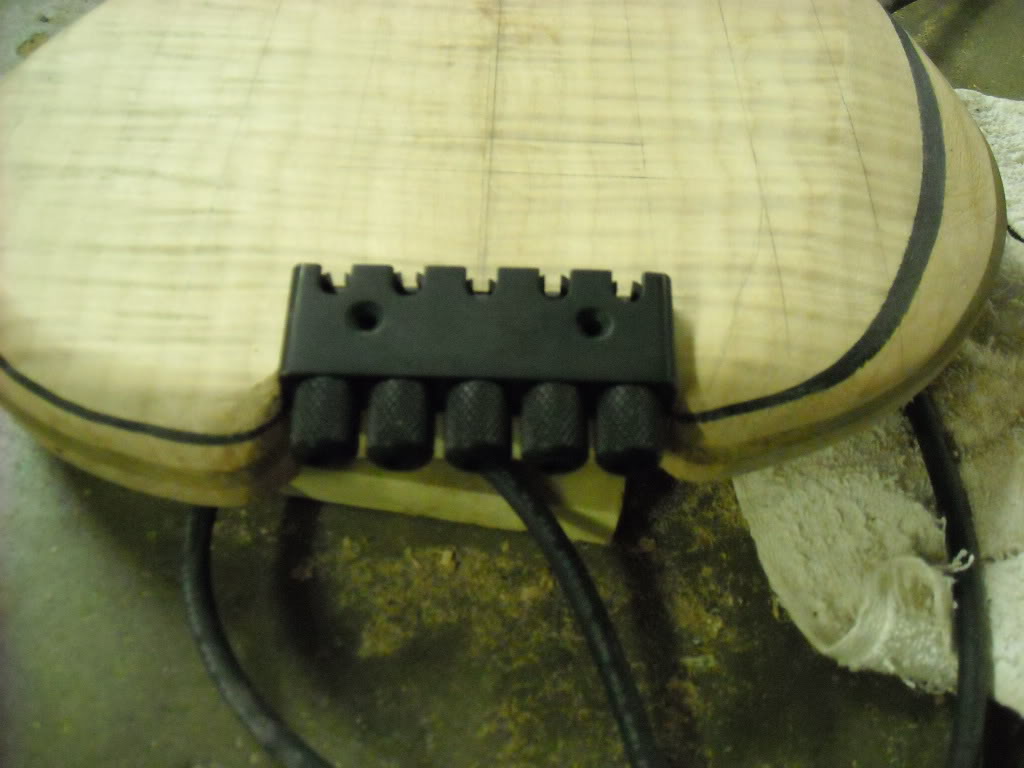 Headless3-12-09010.jpg