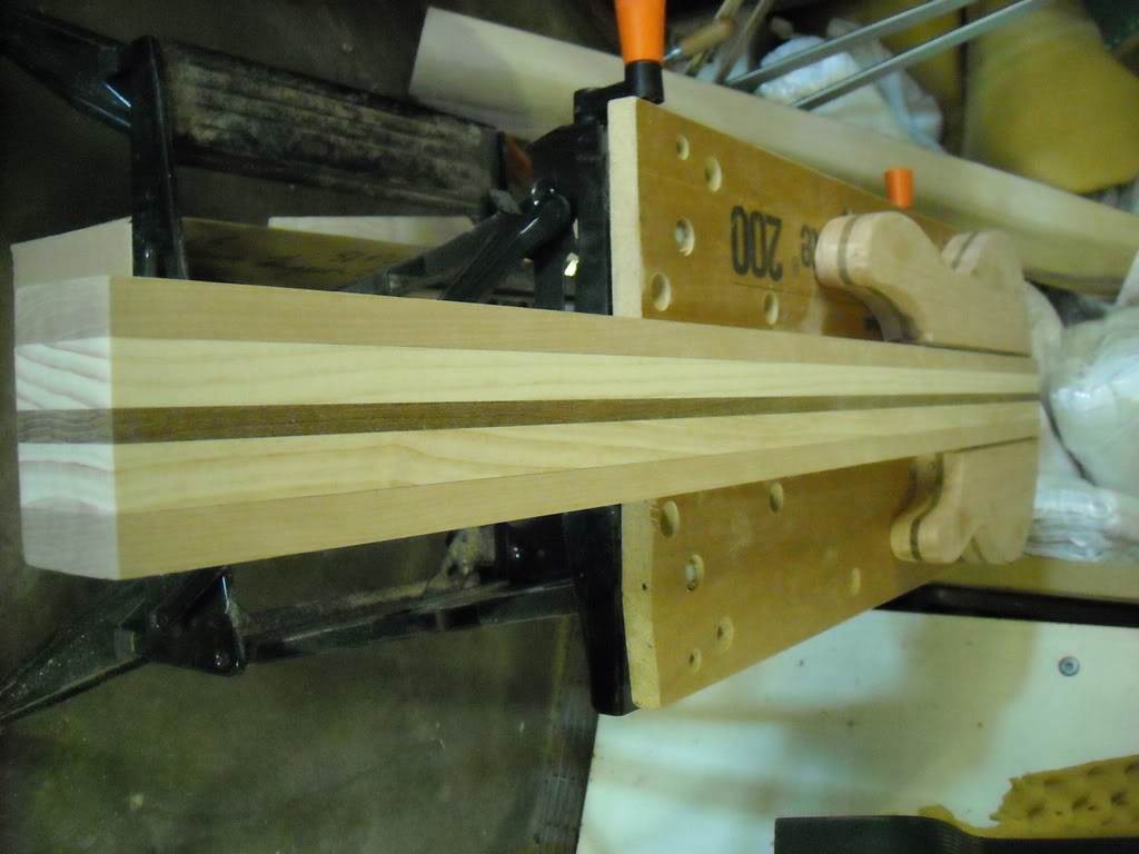 Headlessbuild1-31-09006.jpg
