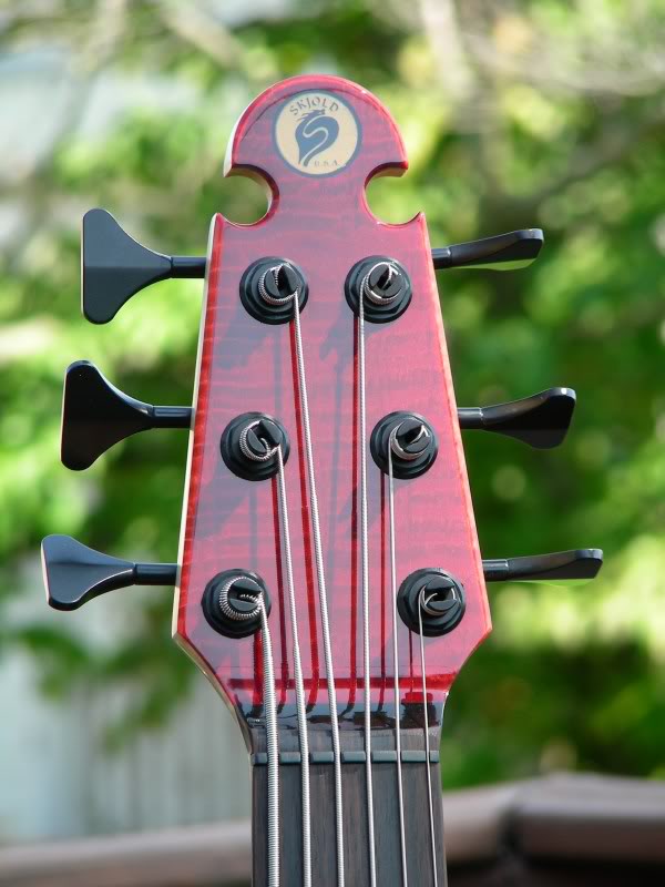 headstock-1.jpg