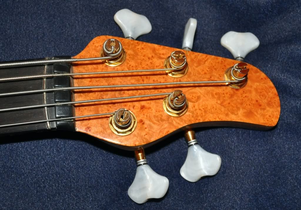 Headstock-1.jpg