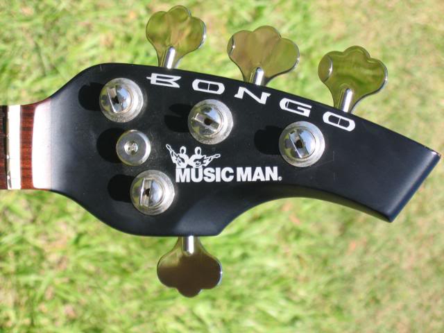Headstock-1.jpg