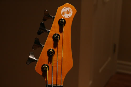 Headstock.jpg