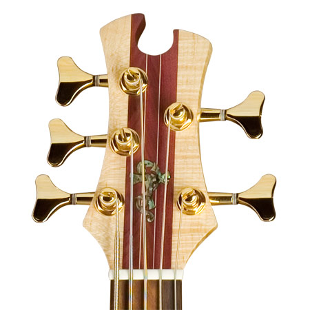 Headstock.jpg