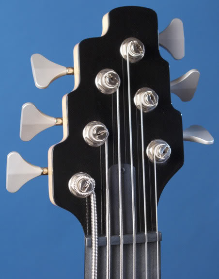 Headstock.jpg