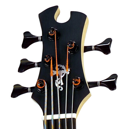 Headstock.jpg
