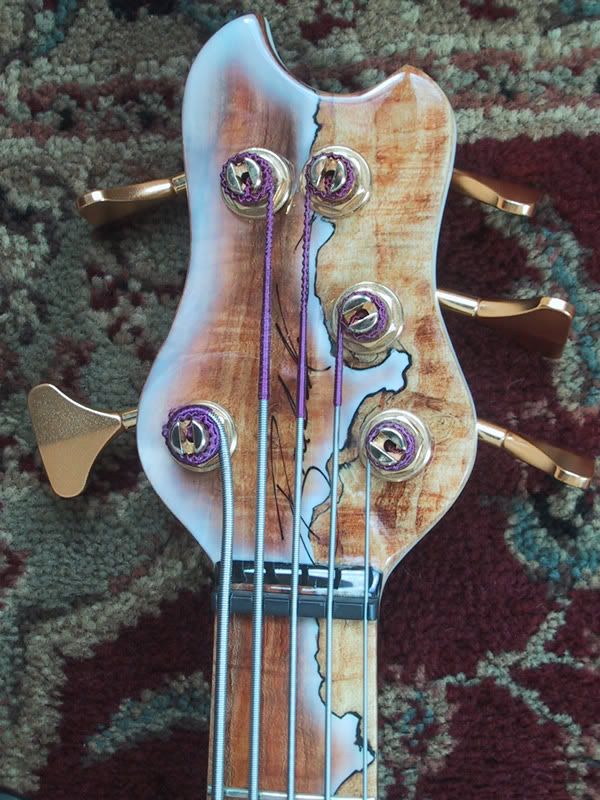 Headstock.jpg