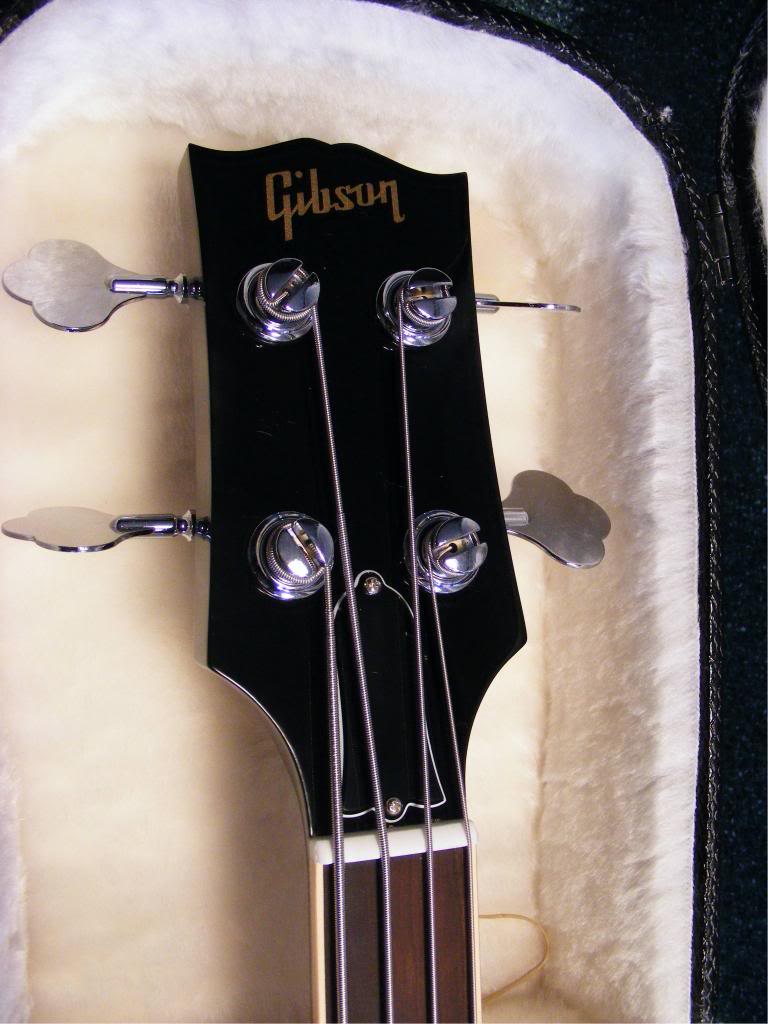 Headstock.jpg