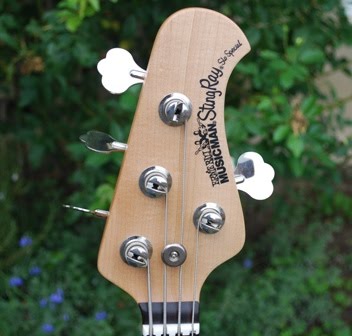 Headstock.jpg