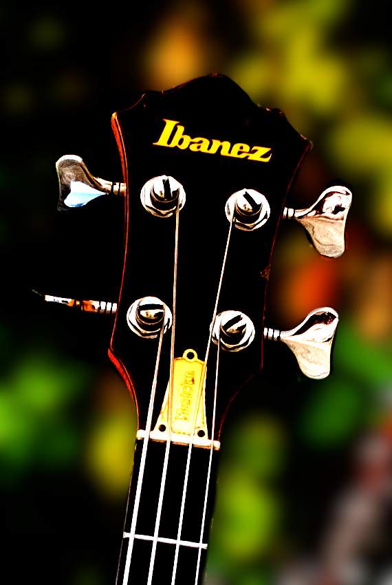 Headstock.jpg