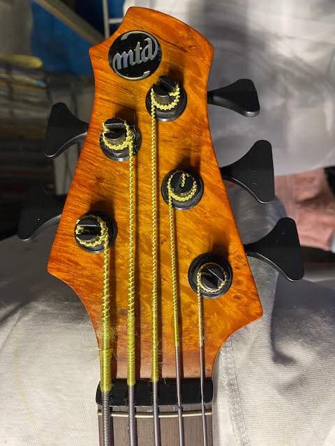 Headstock.jpg