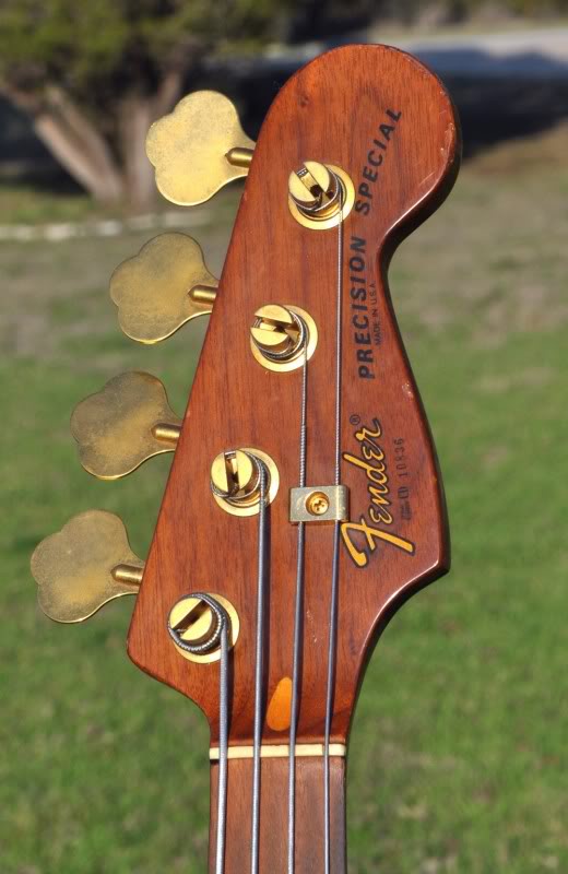 Headstock.jpg