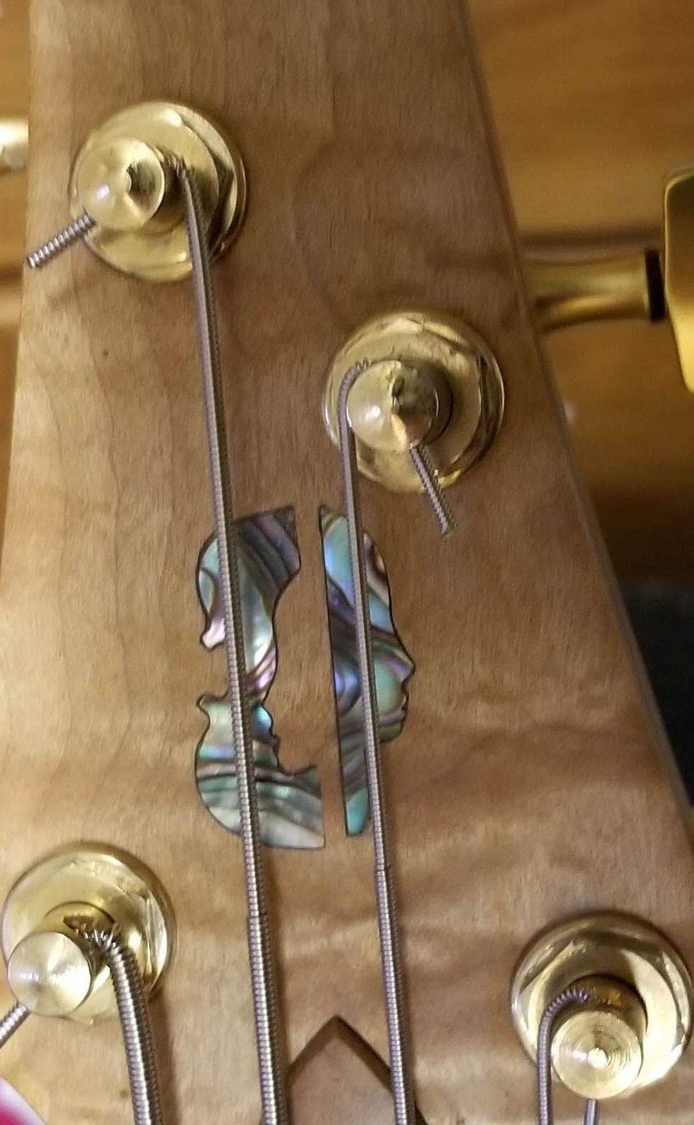 headstock logo.jpg