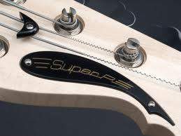 headstock name plate example.jpg