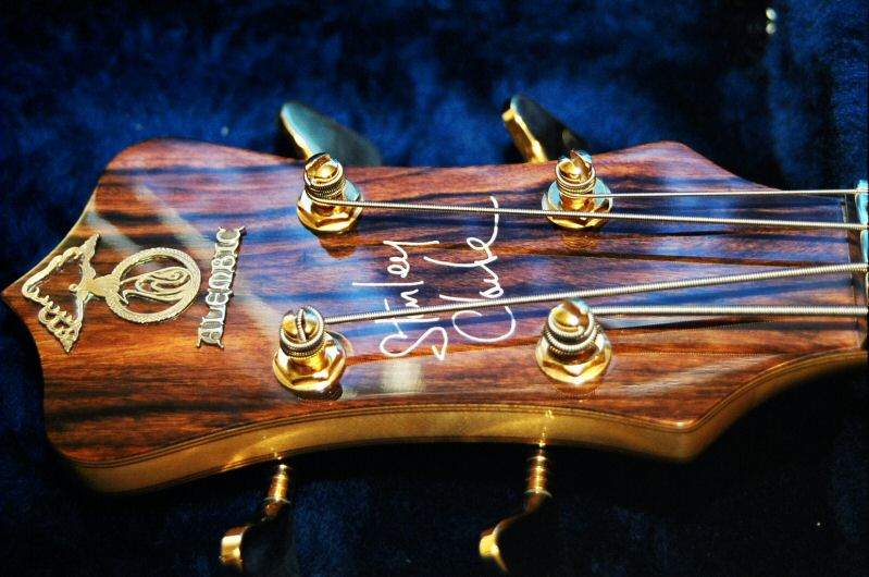 headstock only.jpeg