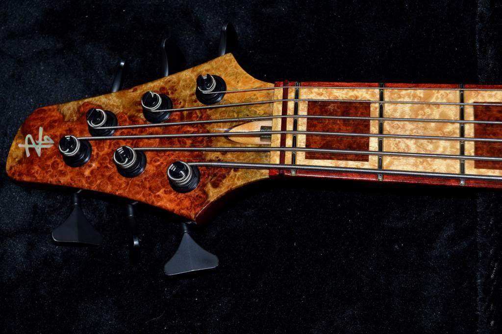 Headstock1_zpsa9b0a51c.jpg