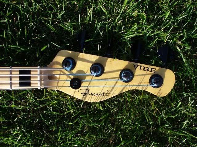 Headstock1Lawnasp.jpg