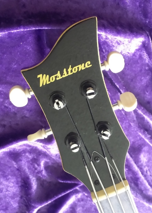 headstock20ed1.jpg