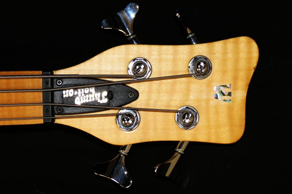 Headstrock_zps86ef0a76.jpg