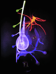 Hepglass.gif